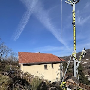 Ref98 VLoin grue couv bacacier zin LeThillot Fev05 copie